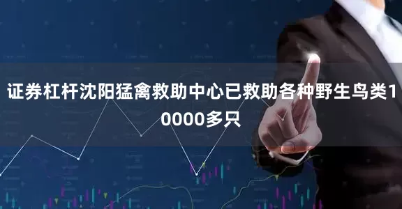 证券杠杆沈阳猛禽救助中心已救助各种野生鸟类10000多只