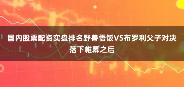 国内股票配资实盘排名野兽悟饭VS布罗利父子对决落下帷幕之后