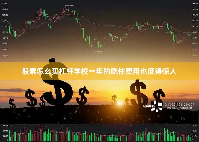 股票怎么买杠杆学校一年的吃住费用也低得惊人